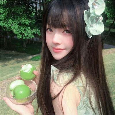 菩提树